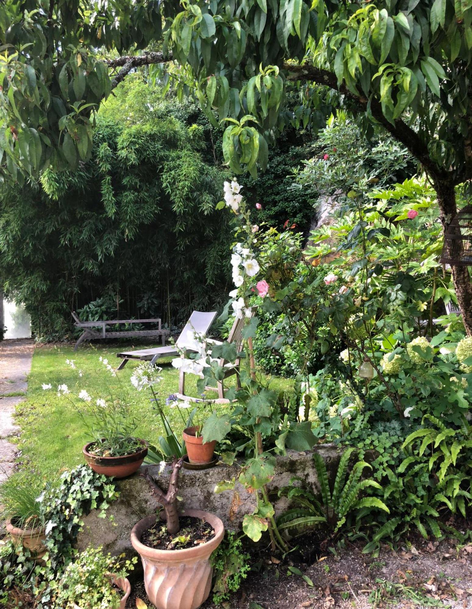 L'Heure Bleue Bed and Breakfast Saintes Eksteriør billede